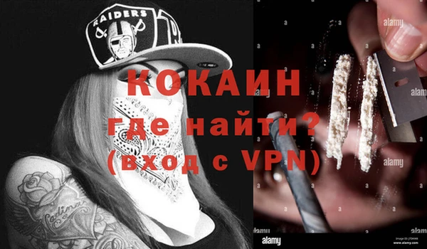 стаф Алексин