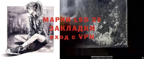 ПСИЛОЦИБИНОВЫЕ ГРИБЫ Алзамай